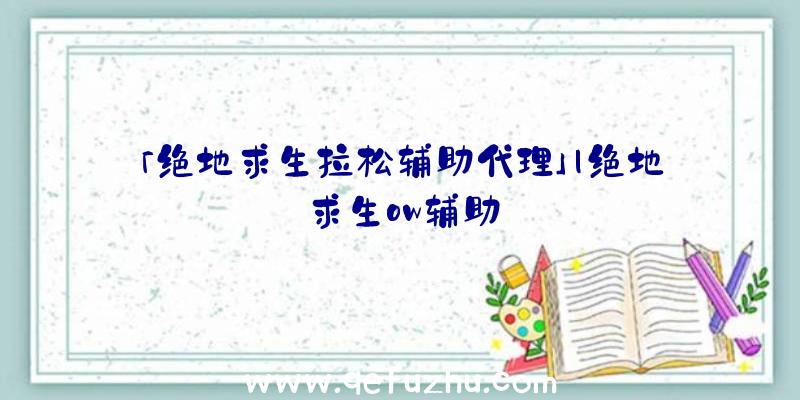 「绝地求生拉松辅助代理」|绝地求生ow辅助